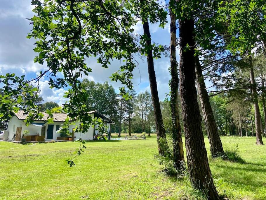 Apartamento Gite La Lande En Pays Basque Came Exterior foto