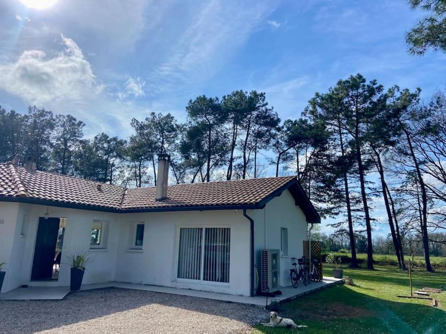 Apartamento Gite La Lande En Pays Basque Came Exterior foto