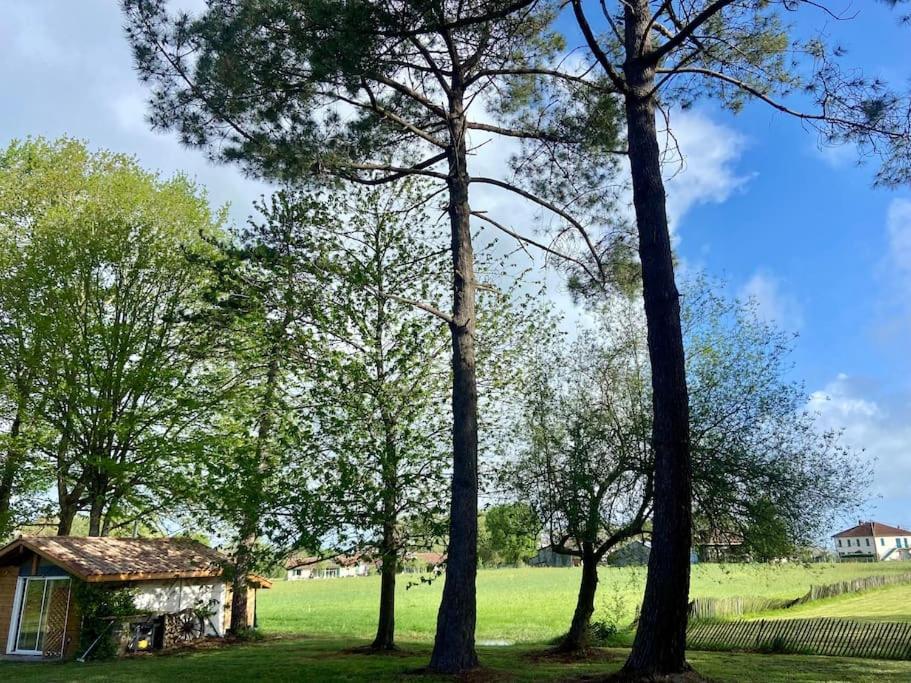 Apartamento Gite La Lande En Pays Basque Came Exterior foto