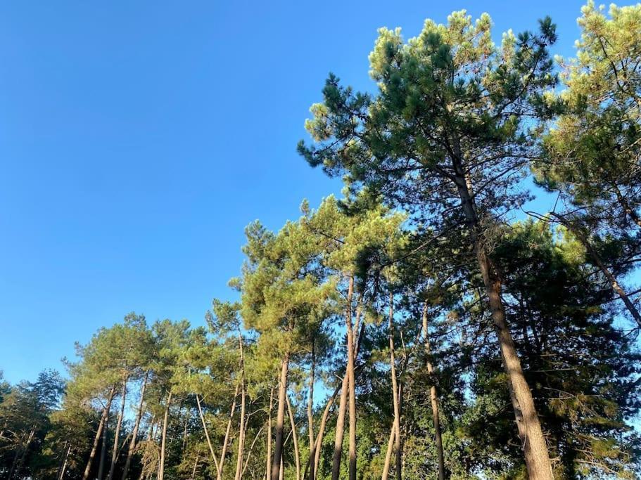 Apartamento Gite La Lande En Pays Basque Came Exterior foto